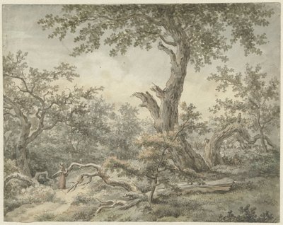 Waldlandschaft von Cornelis Buys