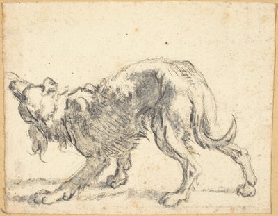 Ein Hund von Cornelis Saftleven