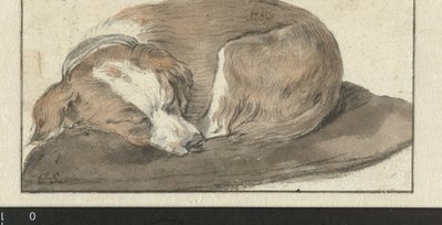 Schlafender Hund von Cornelis Saftleven