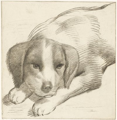 Liegender Hund von Cornelis van Noorde