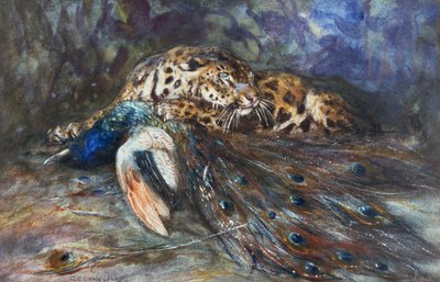 Jaguar mit Pfau von Cuthbert Edmund Swan
