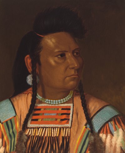 Häuptling Joseph, Juni 1878 von Cyrenius Hall