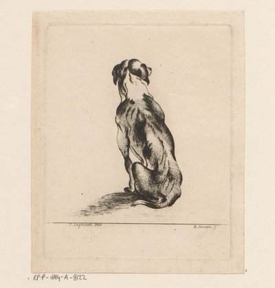 Sitzender Hund von hinten gesehen von D. Merrem