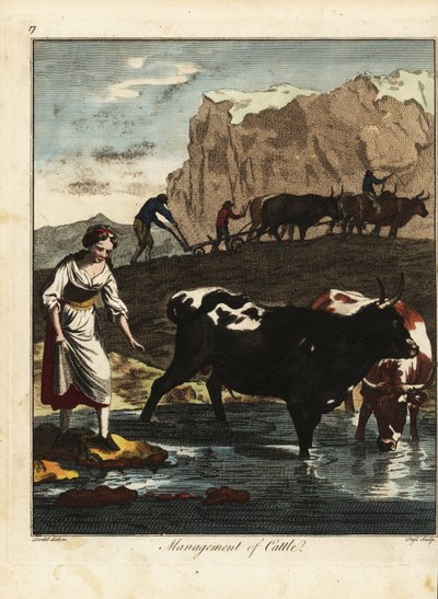 Melkerin und Bauern mit Vieh von Daniel (after) Dodd