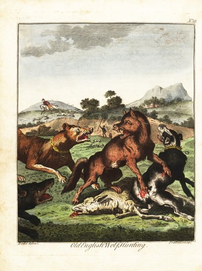 Alte englische Wolfsjagd. 1792 (Gravur) von Daniel (after) Dodd