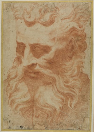 Kopf von Gott dem Vater von Daniele da Volterra