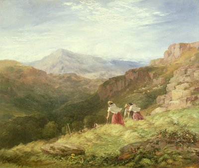 Heuernte, Snowdon, 1847 von David Cox