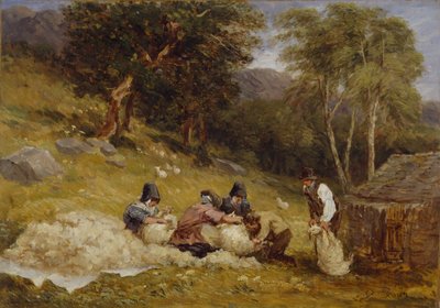 Schafschur von David Cox the elder