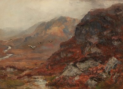 Hochlandhügel von David Farquharson