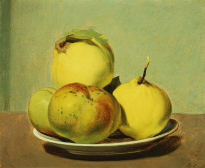 Schale mit Äpfeln und Quitten von David Johnson