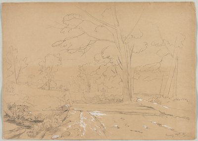 Landschaft mit angelndem Mann, Conway, New Hampshire von David Johnson