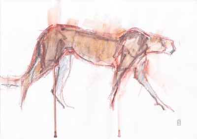 Gepardenjagd, 2019 von David Mayer