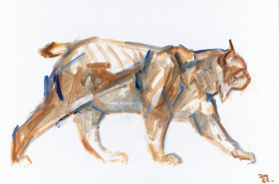 Luchs, 2022 von David Mayer