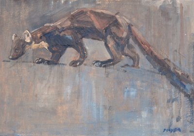 Baummarder, 2023 von David Mayer