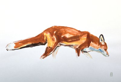 Rotfuchs von David Mayer