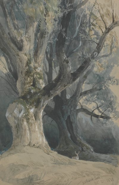 Bäume im Northwick Park von David Roberts