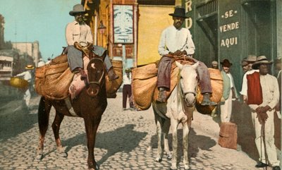 Gemüsemänner, Havanna, Kuba von Detroit Photographic Company