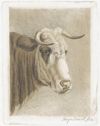 Koekop von Diederik Jan Singendonck (signed by artist)