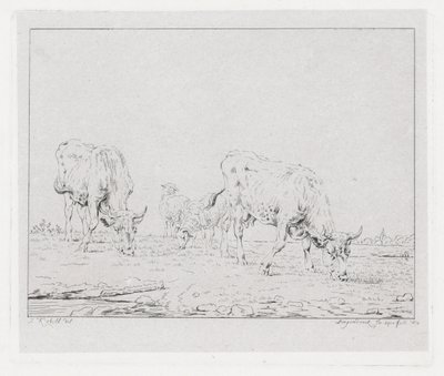 Weidende Kühe von Diederik Jan Singendonck