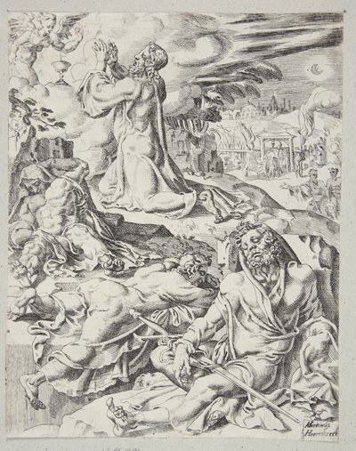Die Agonie im Garten von Dirck Volckertsz. Coornhert