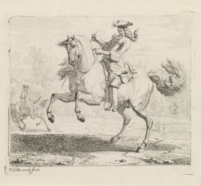 Steigendes Pferd mit Reiter von Dirk Maas