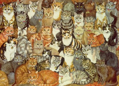 Katzen-Verbreitung von Ditz