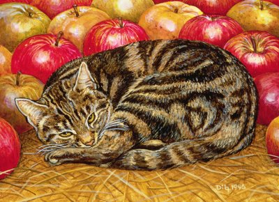 Rechte-Hand Apfel-Katze, 1995 von Ditz