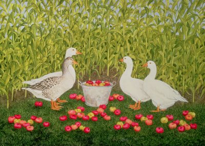 Mais-Gänse von Ditz