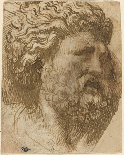 Kopf eines Mannes von Domenico Campagnola