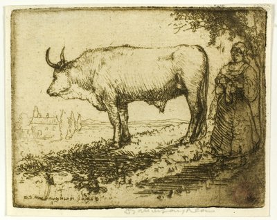 Der weiße Ochse von Donald Shaw MacLaughlan