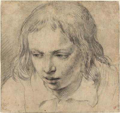 Kopf eines jungen Mannes von Dutch 17th Century