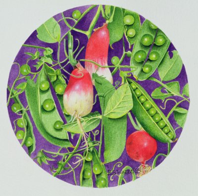 Erbsen mit drei Radieschen von E.B. Watts