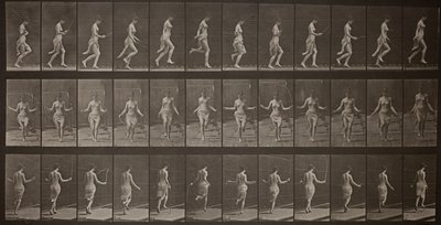 Tierbewegung, Platte 174 von Eadweard Muybridge