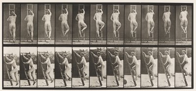 Tafel 111. Leiter hinaufsteigen von Eadweard Muybridge