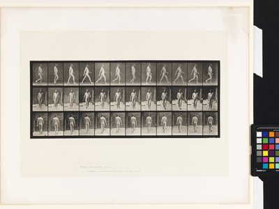 Tafel 11. Gehen von Eadweard Muybridge