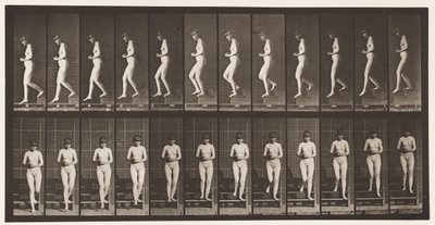 Tafel 128. Treppenabstieg, gefaltete Hände von Eadweard Muybridge