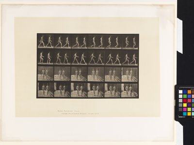Tafel 12. Gehen von Eadweard Muybridge