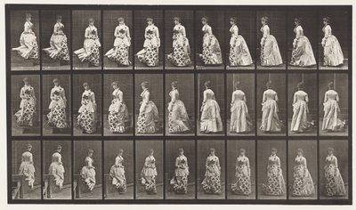 Tafel 139. Treppenabstieg, Drehung von Eadweard Muybridge
