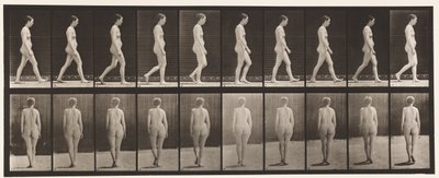 Tafel 15. Gehen von Eadweard Muybridge