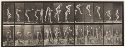 Tafel 166. Springen; Über den Rücken eines Mannes von Eadweard Muybridge