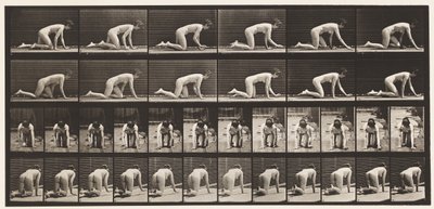 Tafel 182. Auf Händen und Knien kriechen von Eadweard Muybridge