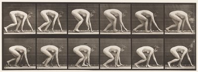 Tafel 183. Auf Händen und Füßen gehen von Eadweard Muybridge