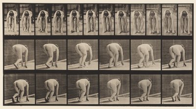 Tafel 184. Auf Händen und Füßen gehen von Eadweard Muybridge