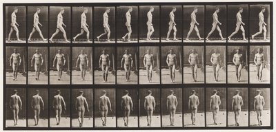 Tafel 1. Gehen von Eadweard Muybridge