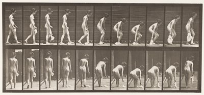 Tafel 202. Ein Taschentuch fallen lassen und aufheben von Eadweard Muybridge