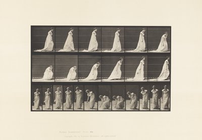 Tafel 209. Bücken und Aufheben eines Taschentuchs, 1885 von Eadweard Muybridge