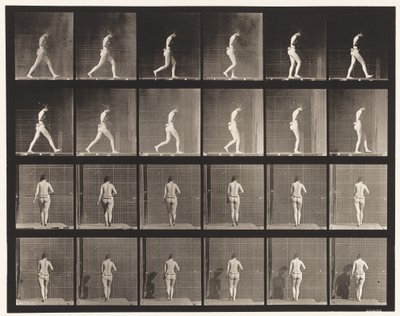 Tafel 20. Gehen, rechter Ellbogen gebeugt von Eadweard Muybridge