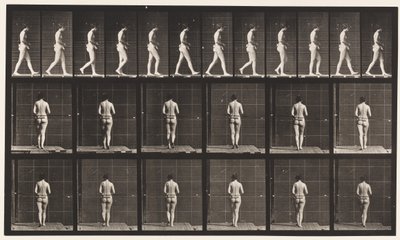 Tafel 21. Gehen, beide Ellbogen gebeugt von Eadweard Muybridge