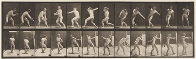 Tafel 284. Baseball; Fangen und Werfen von Eadweard Muybridge