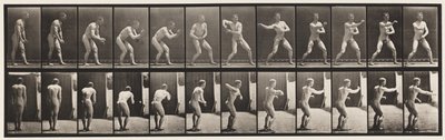 Tafel 285. Baseball; Fangen und Werfen von Eadweard Muybridge